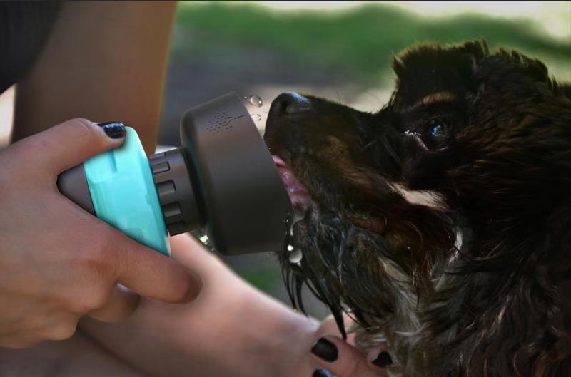 Dog drinking from a Puppy’s Lake travel bottle