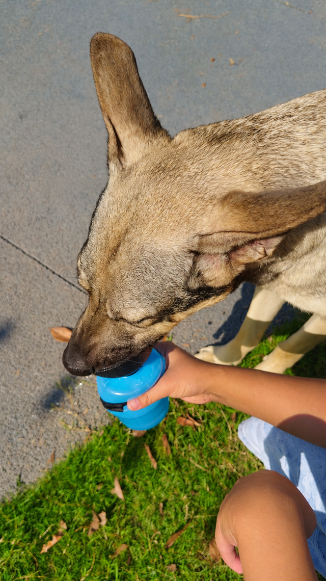 Park bench water break